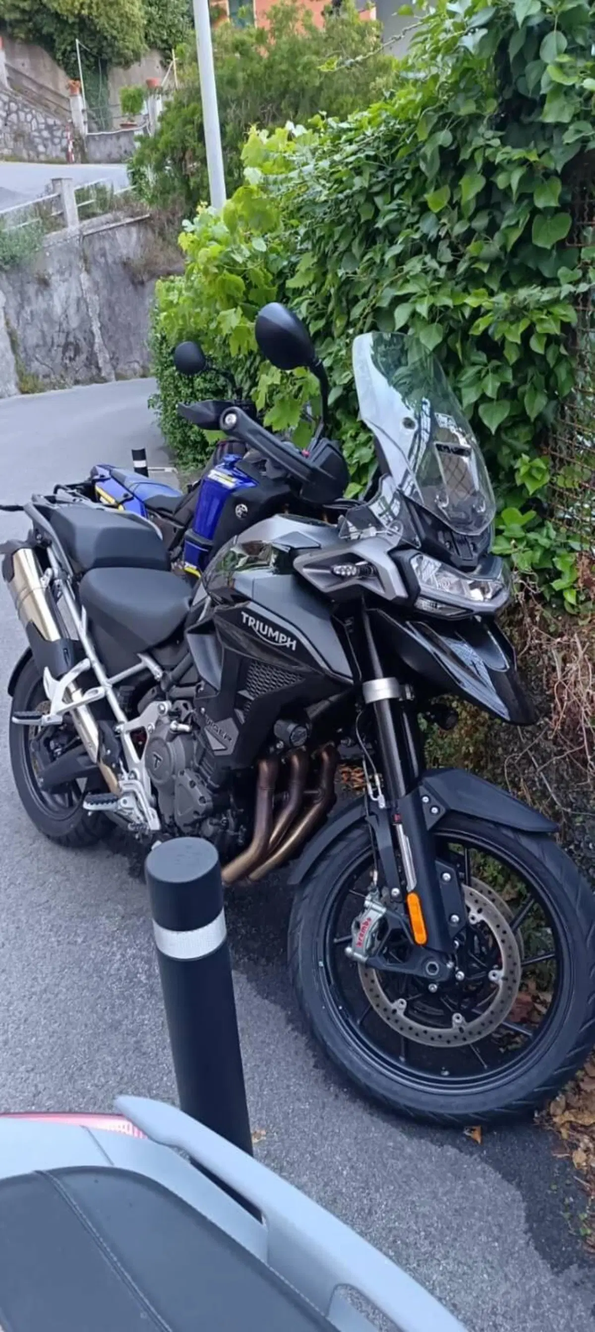 Triumph Tiger 1200 GT Pro (2024 - 26) (3)
