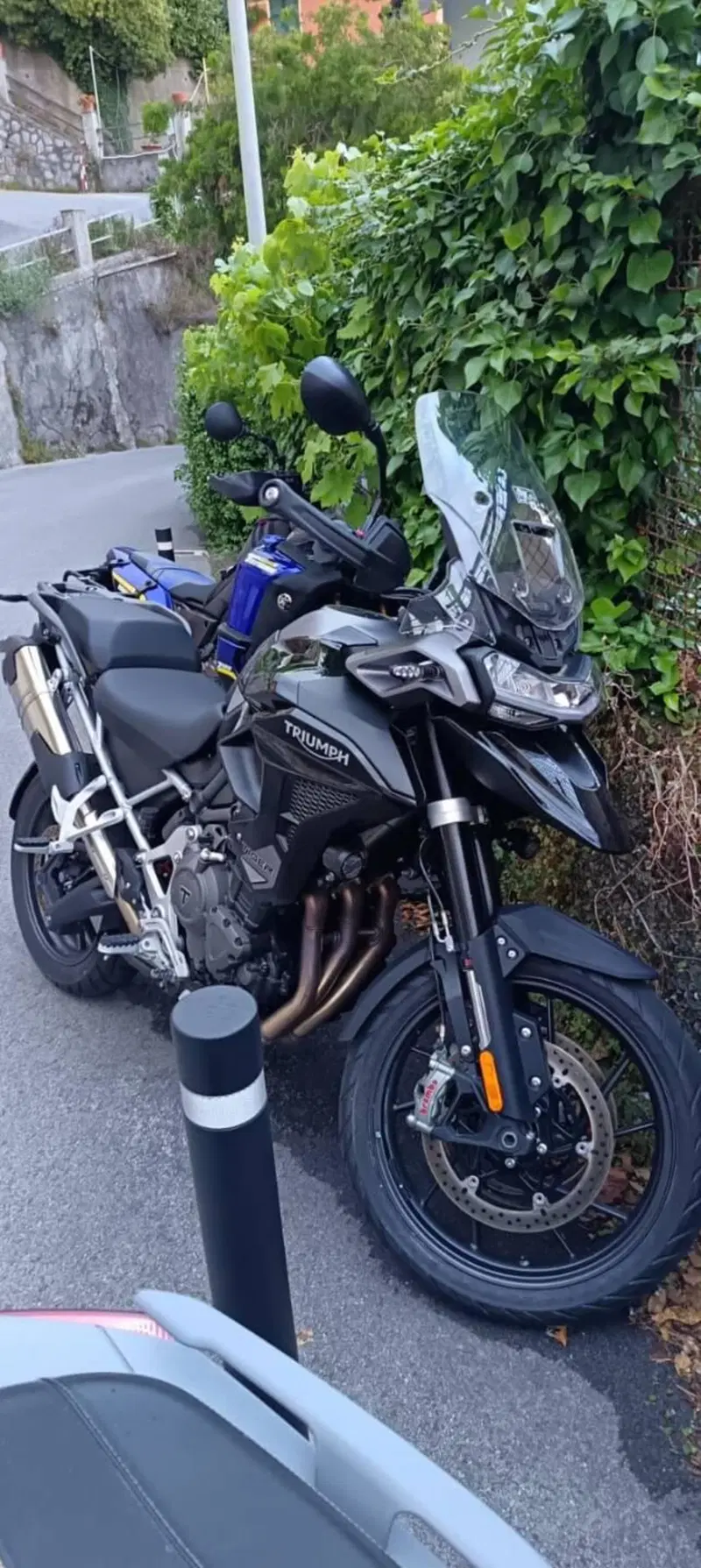 Triumph Tiger 1200 GT Pro (2024 - 26) (3)