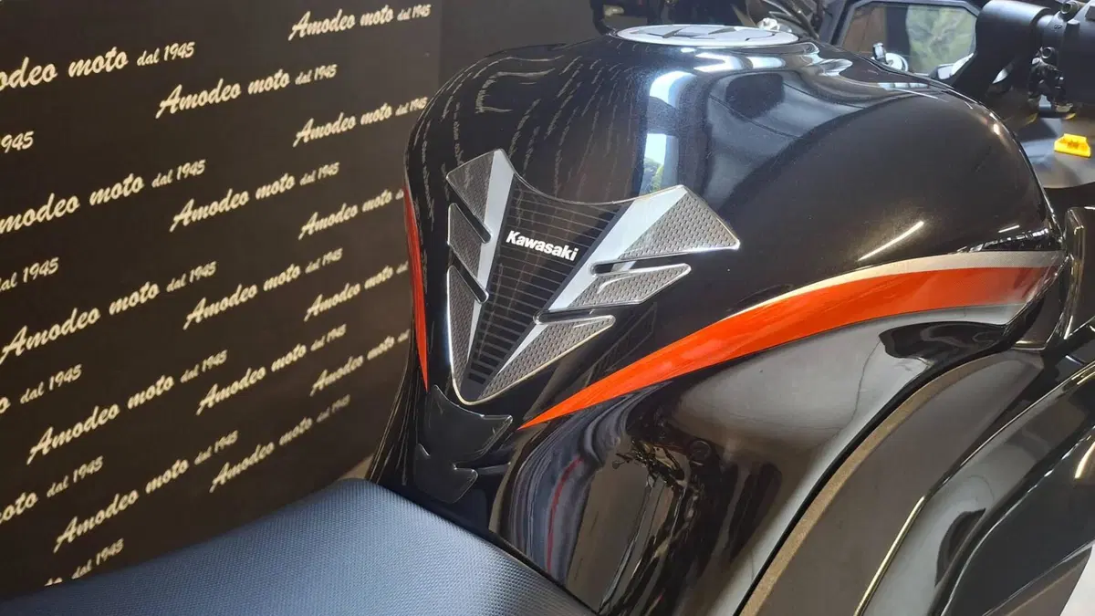 Kawasaki Ninja 1000 SX (2021 - 24) (3)