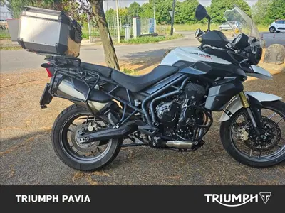 Triumph Tiger 800 ABS (2010 - 14) usata
