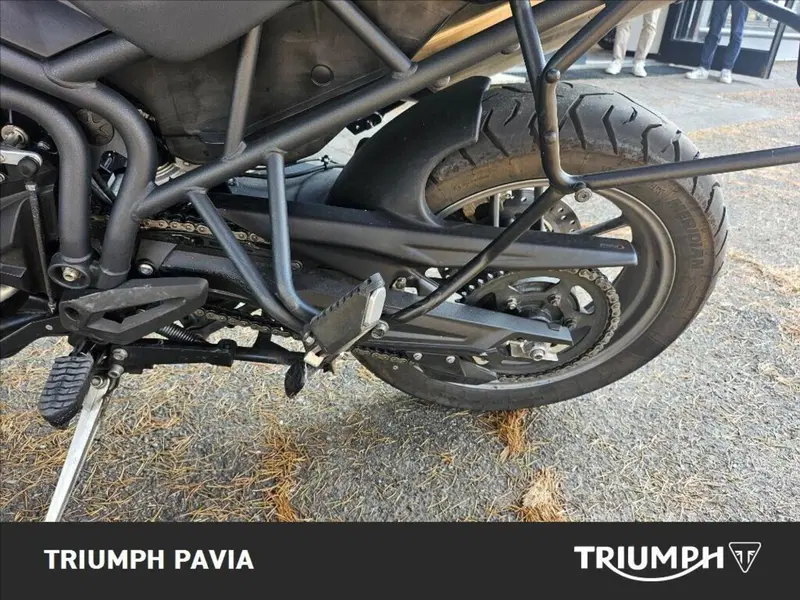 Triumph Tiger 800 ABS (2010 - 14) (18)