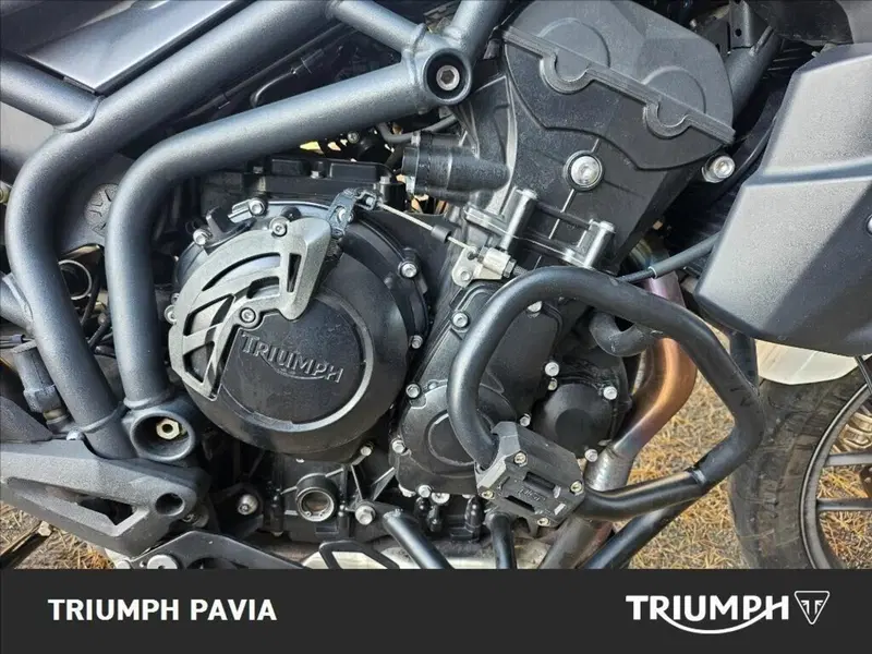 Triumph Tiger 800 ABS (2010 - 14) (13)