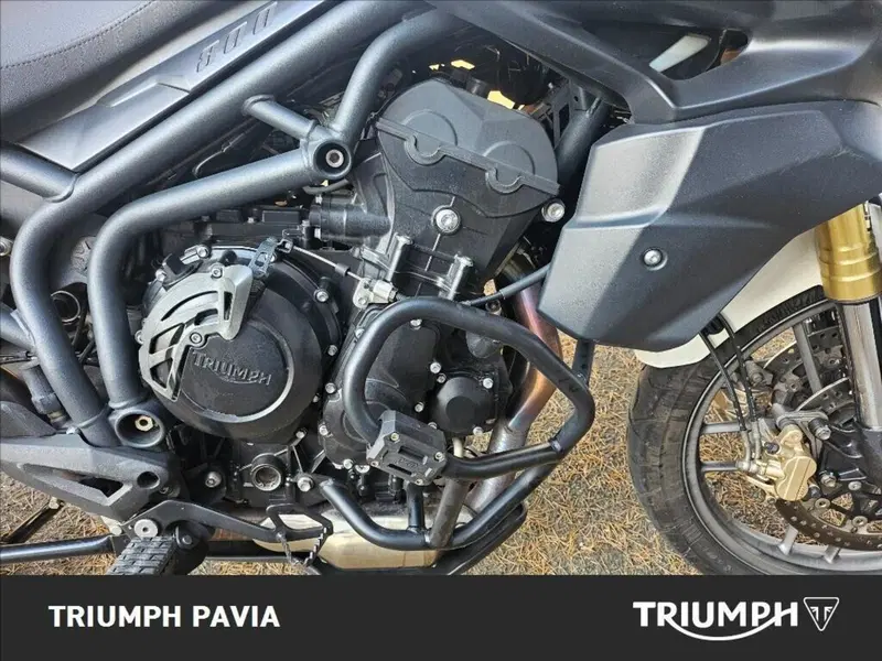 Triumph Tiger 800 ABS (2010 - 14) (10)