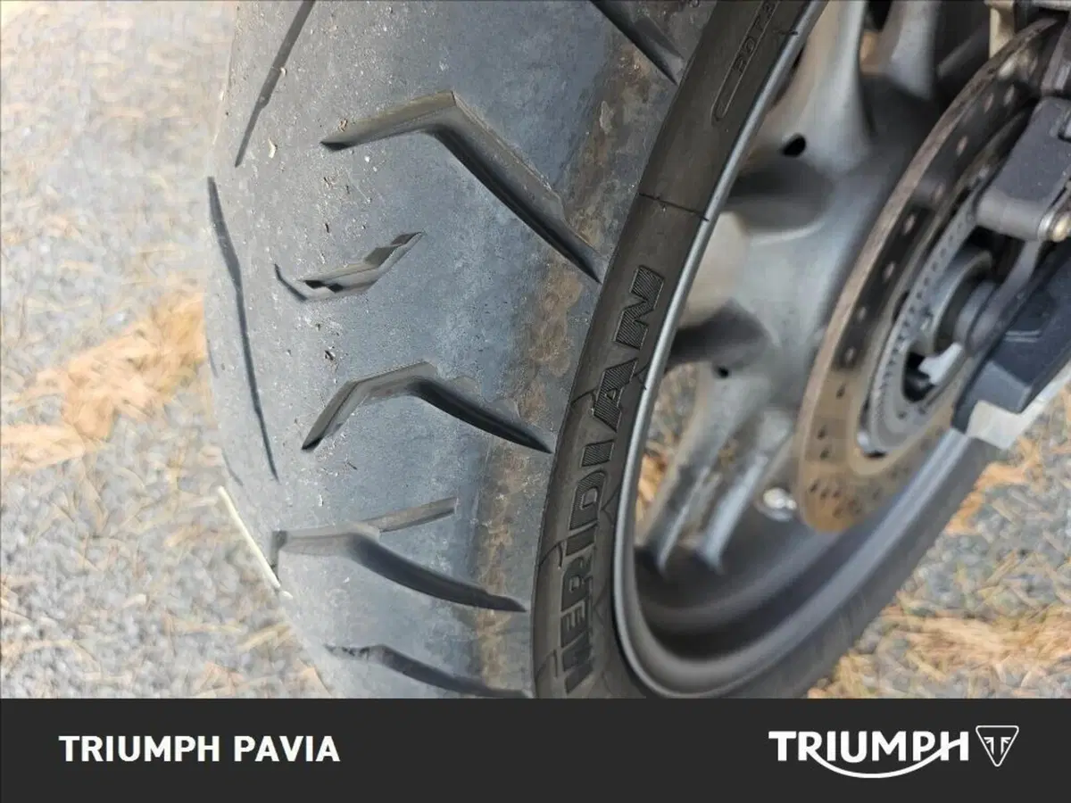 Triumph Tiger 800 ABS (2010 - 14) (7)