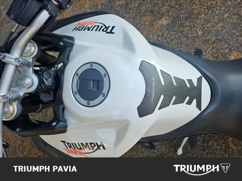 Triumph Tiger 800 ABS (2010 - 14) (20)