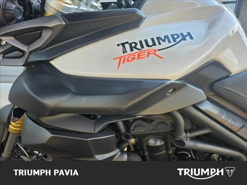 Triumph Tiger 800 ABS (2010 - 14) (14)
