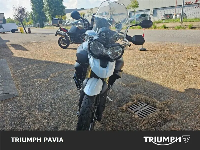 Triumph Tiger 800 ABS (2010 - 14) (3)