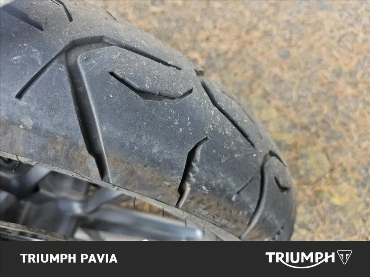 Triumph Tiger 800 ABS (2010 - 14) (8)