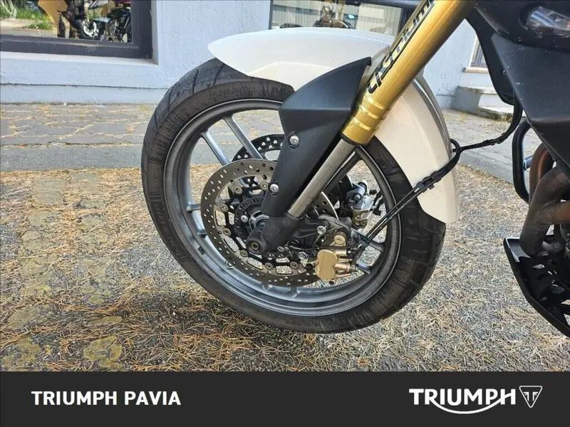 Triumph Tiger 800 ABS (2010 - 14) (15)