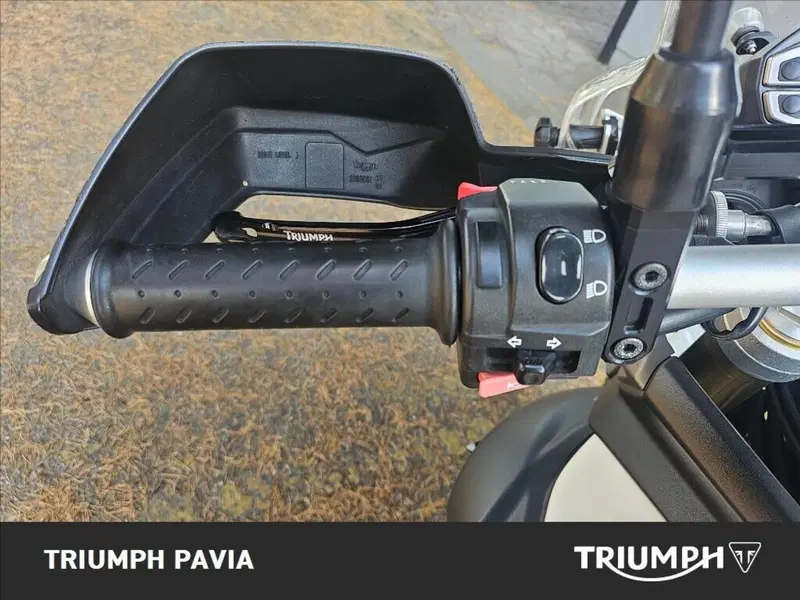 Triumph Tiger 800 ABS (2010 - 14) (21)