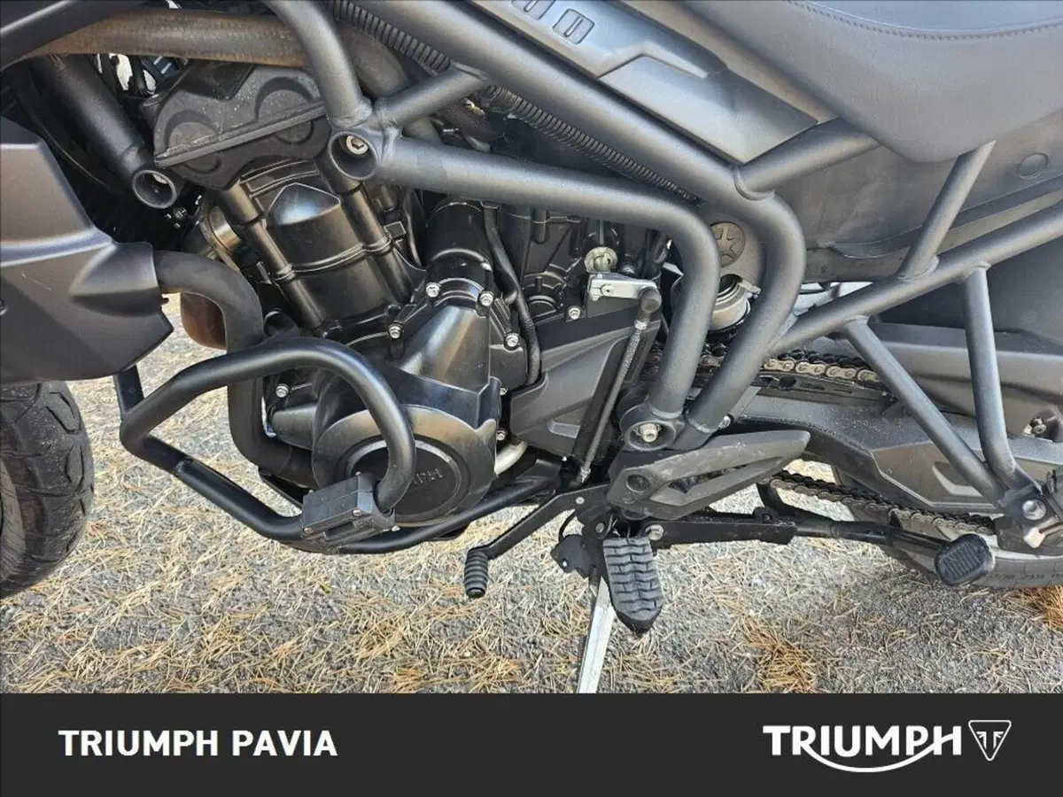 Triumph Tiger 800 ABS (2010 - 14) (16)
