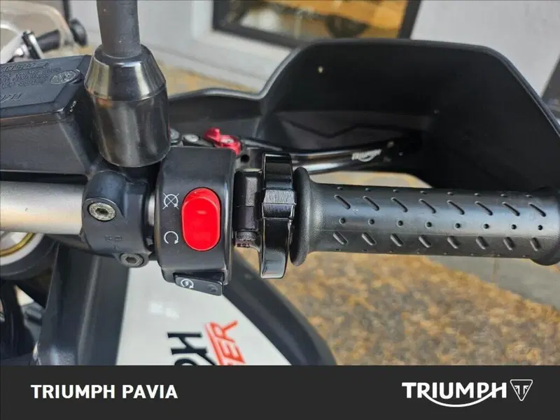Triumph Tiger 800 ABS (2010 - 14) (22)