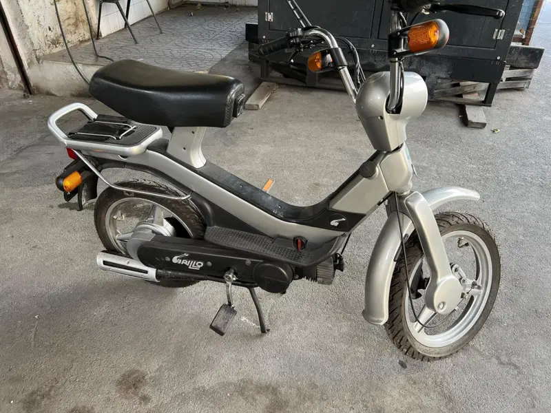 Piaggio Grillo (2)