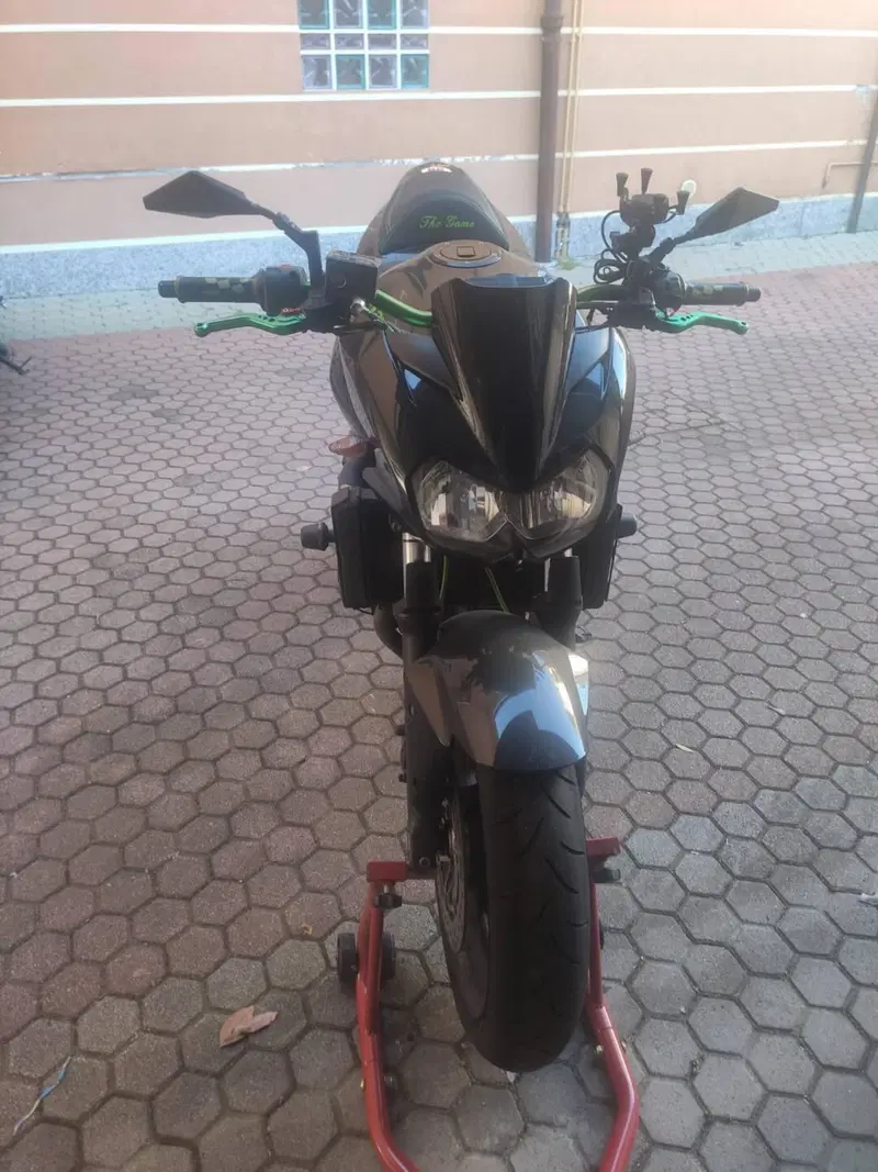 Kawasaki Z 750 (2003 - 06) (3)