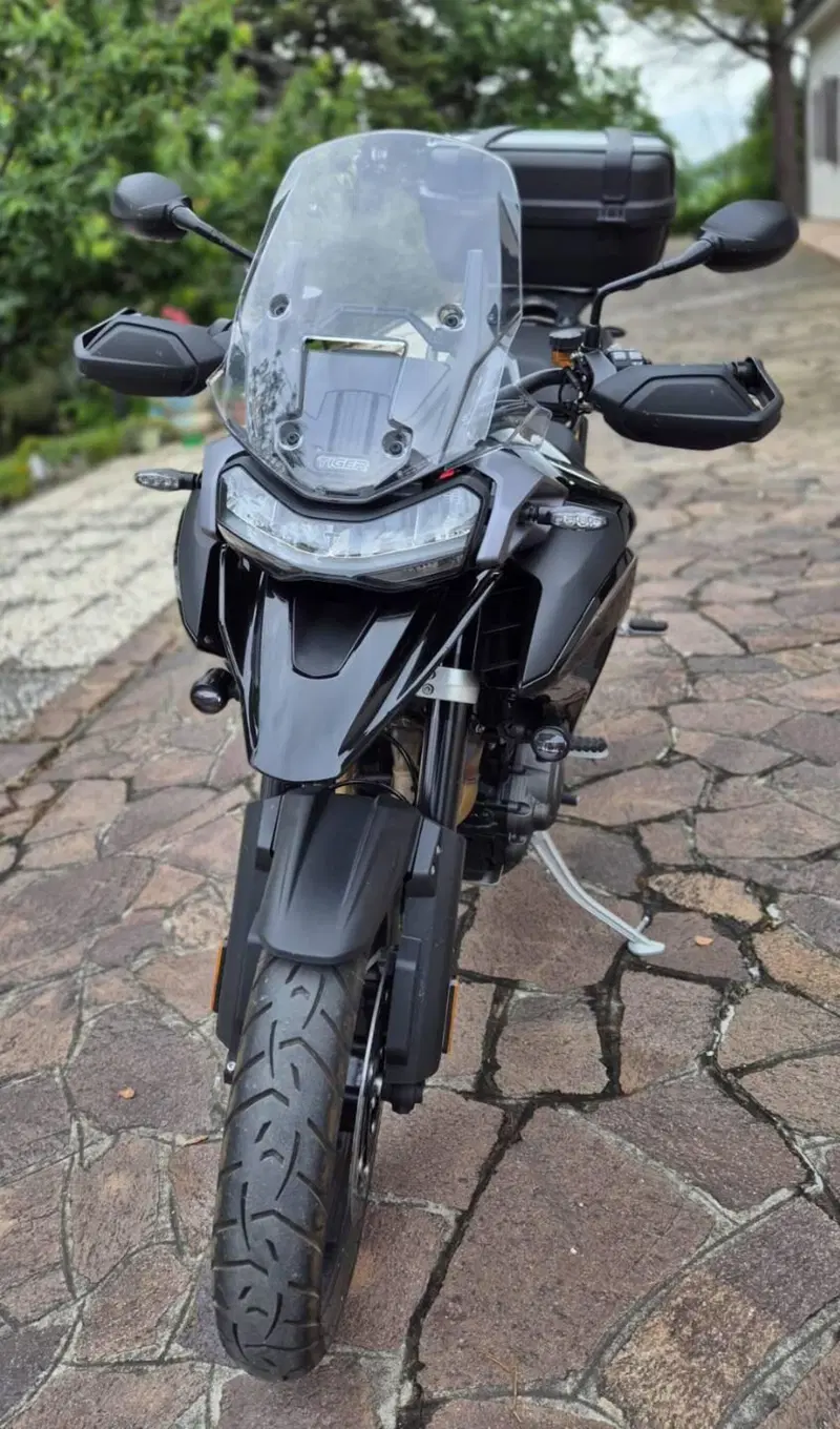 Triumph Tiger 1200 GT Pro (2024 - 26) (6)