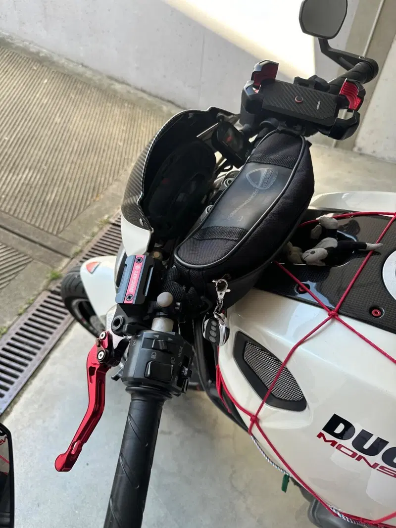 Ducati Monster 696 Plus (2007 - 14) (9)