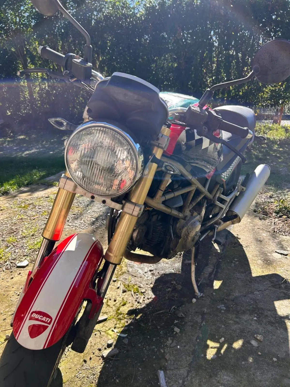 Ducati monster 600