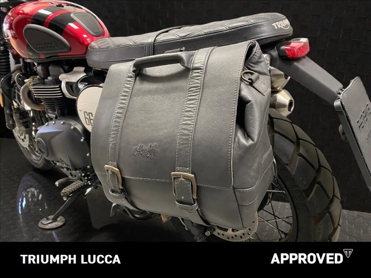 Triumph Scrambler 900 (2023 - 25) (7)