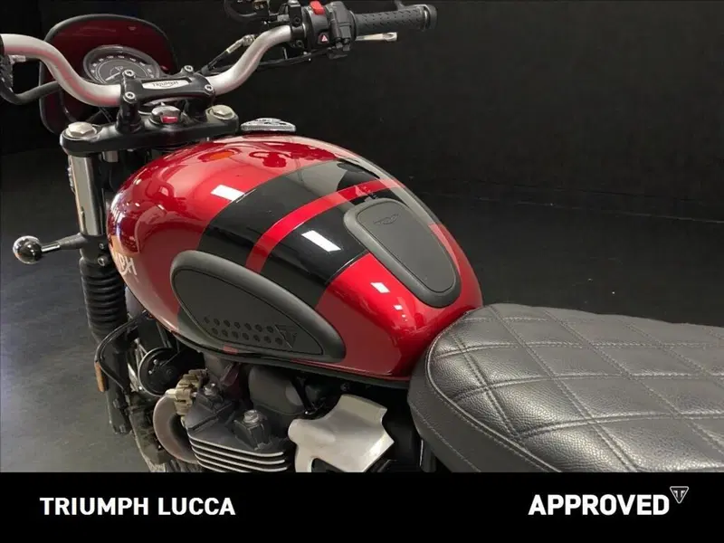 Triumph Scrambler 900 (2023 - 25) (9)