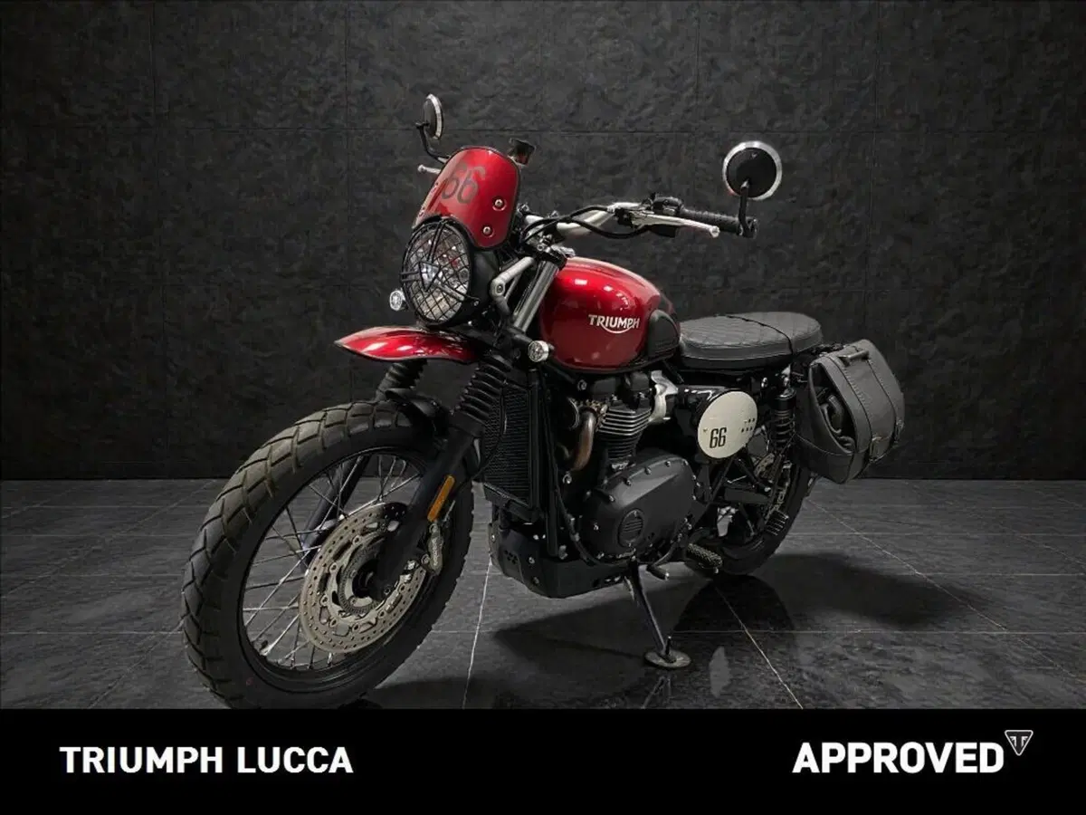Triumph Scrambler 900 (2023 - 25) (6)