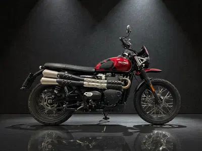 Triumph Scrambler 900 (2023 - 25) usata