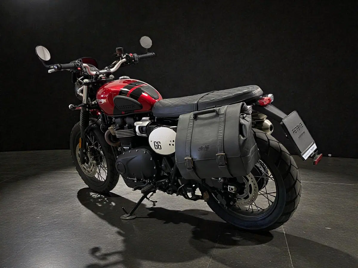 Triumph Scrambler 900 (2023 - 25) (4)