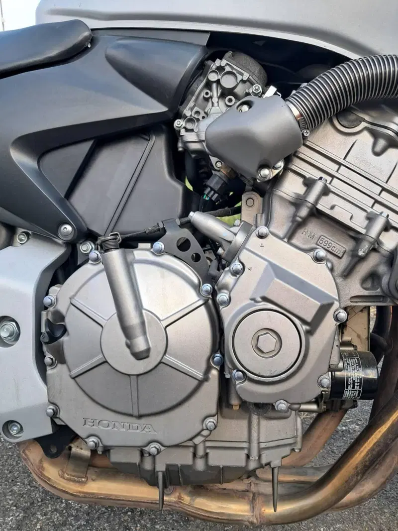 Honda Hornet 600 (2003 - 04) (6)