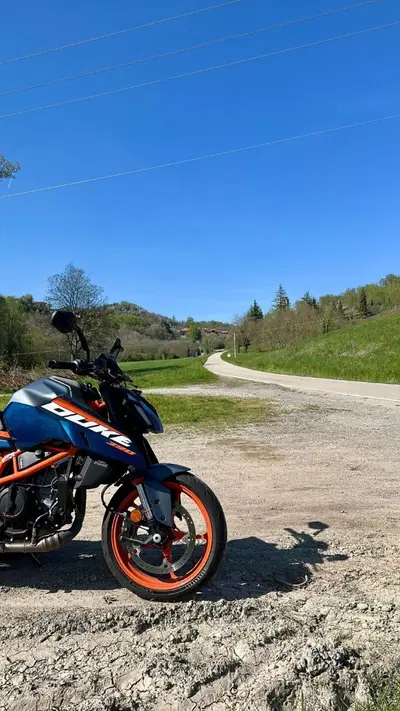 KTM 390 Duke (2024 - 25) usata