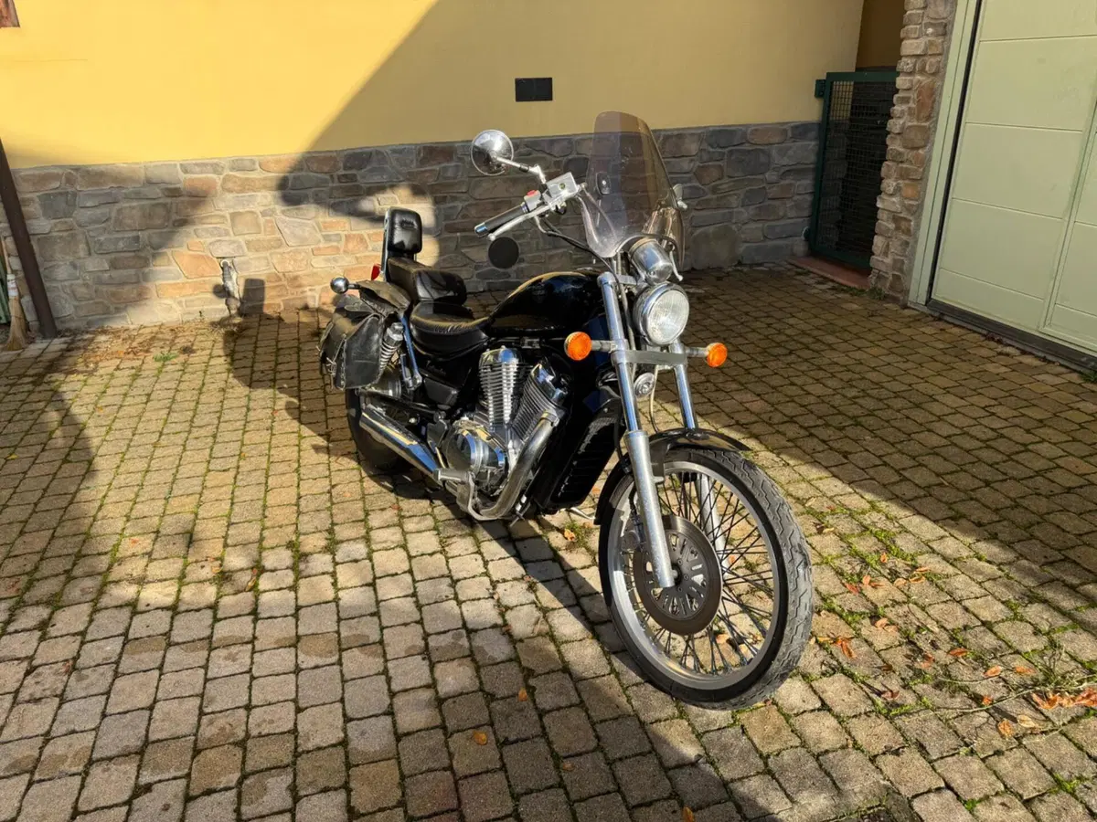 Suzuki VS 600 GL Intruder (1995 - 96) (7)