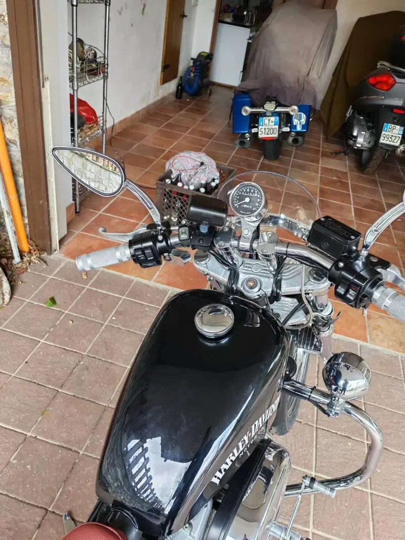 Harley-Davidson 8 (3)