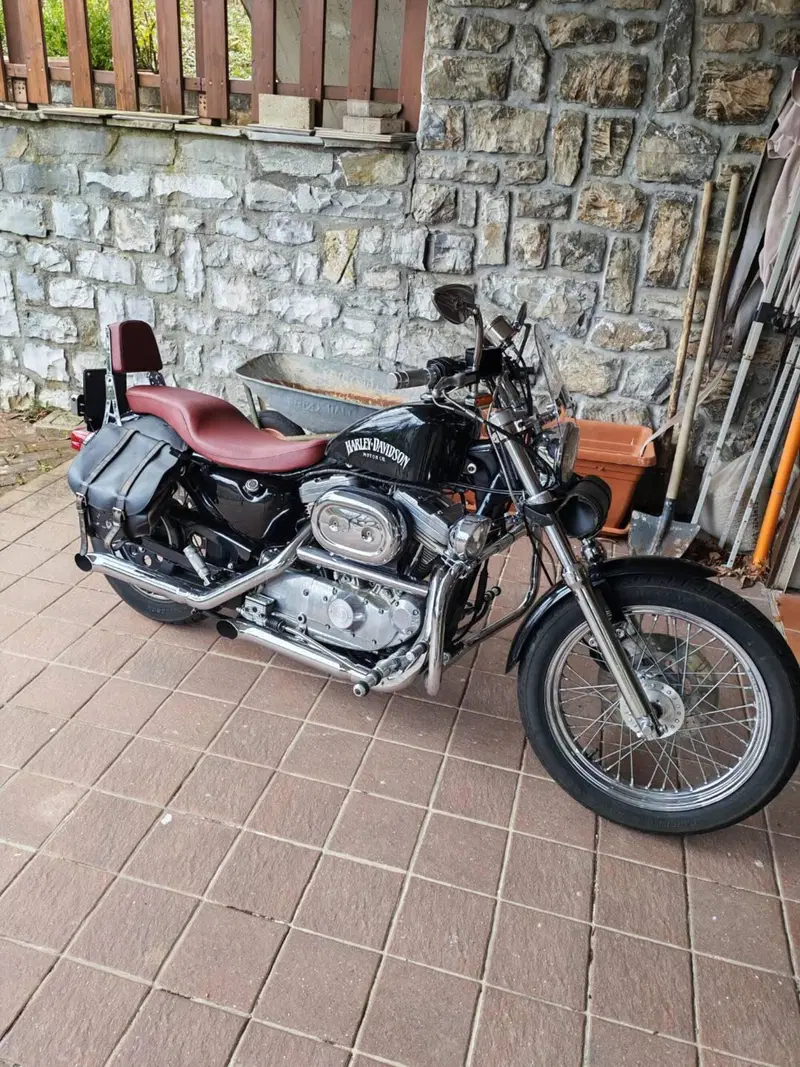 Harley-Davidson 8 (4)