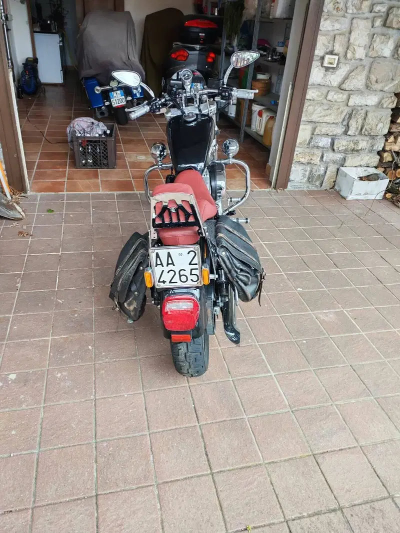 Harley-Davidson 8 (5)