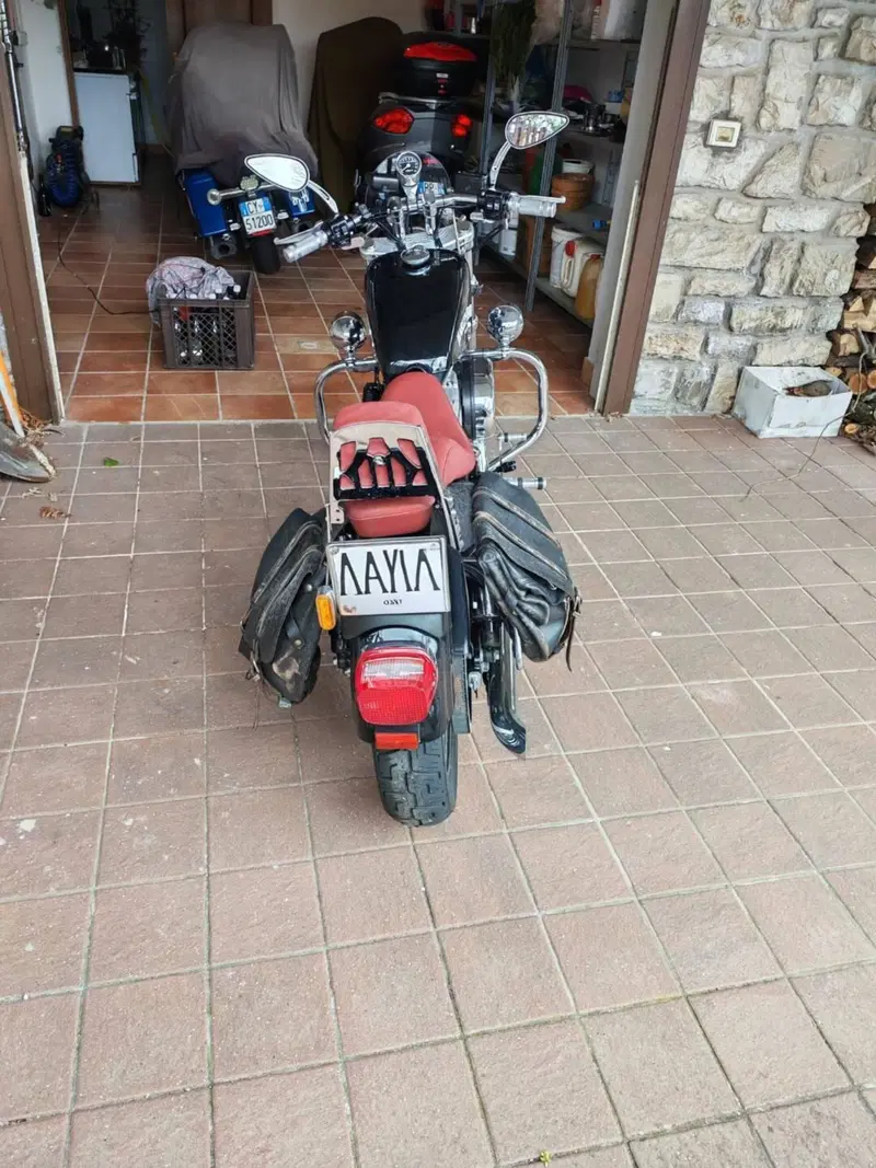 Harley-Davidson 8 (6)