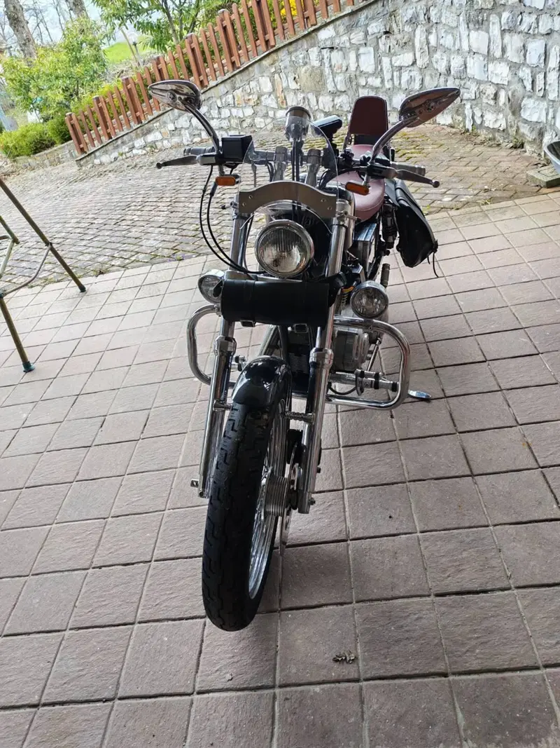 Harley-Davidson 8 (7)