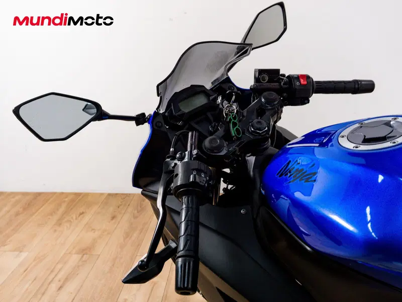 Kawasaki Ninja 300 ABS (2012 - 16) (10)