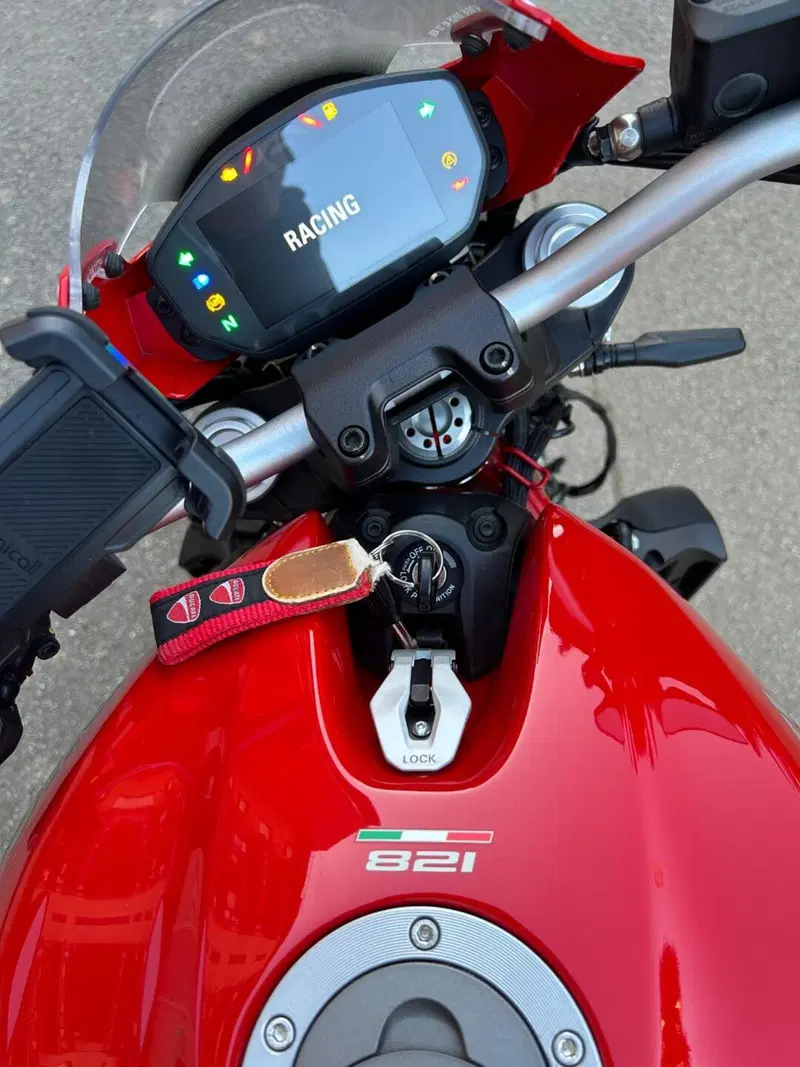 Ducati Monster 821 (2018 - 20) (8)