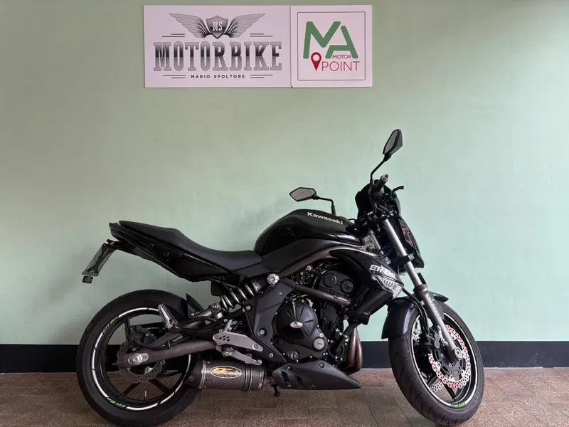 Kawasaki ER-6N (2009 - 11)