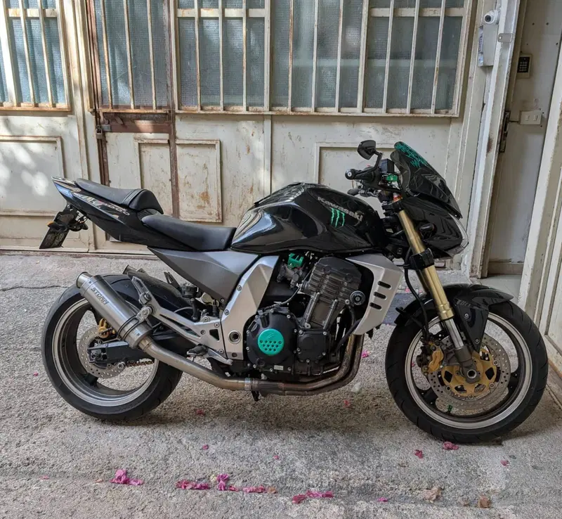 Kawasaki Z 1000 (2003 - 06) (2)