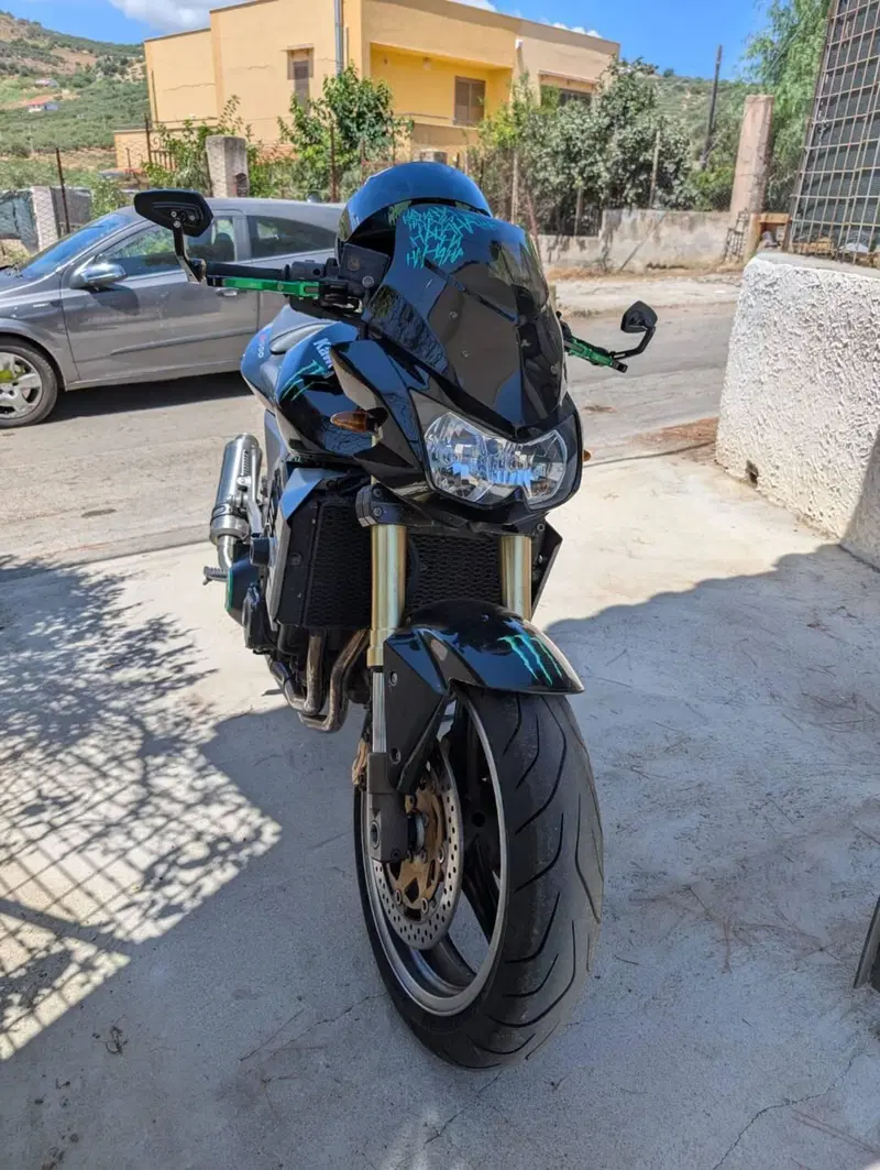 Kawasaki Z 1000 (2003 - 06) (3)