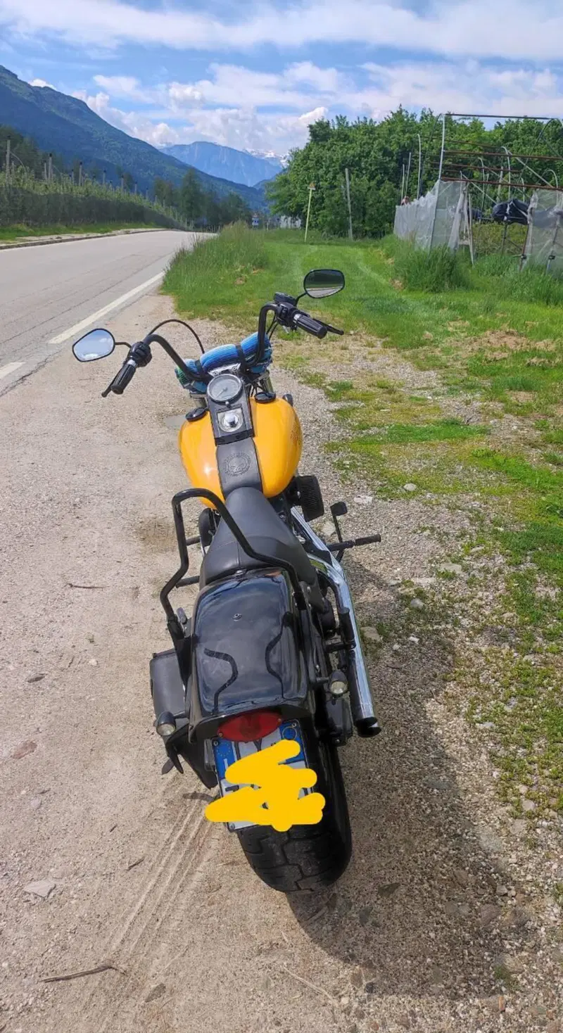 Harley-Davidson 1450 Night Train (2006 - 07) (2)