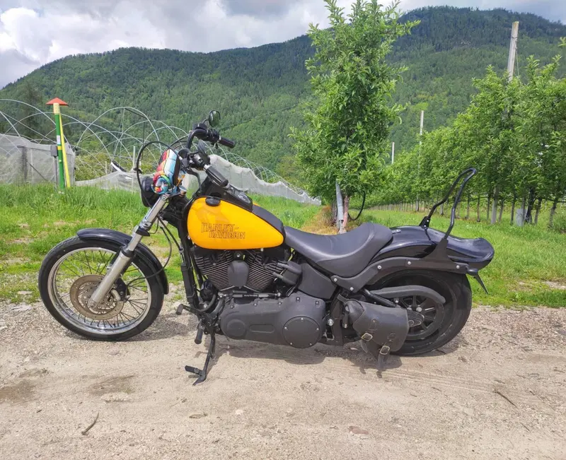 Harley-Davidson 1450 Night Train (2006 - 07) (3)
