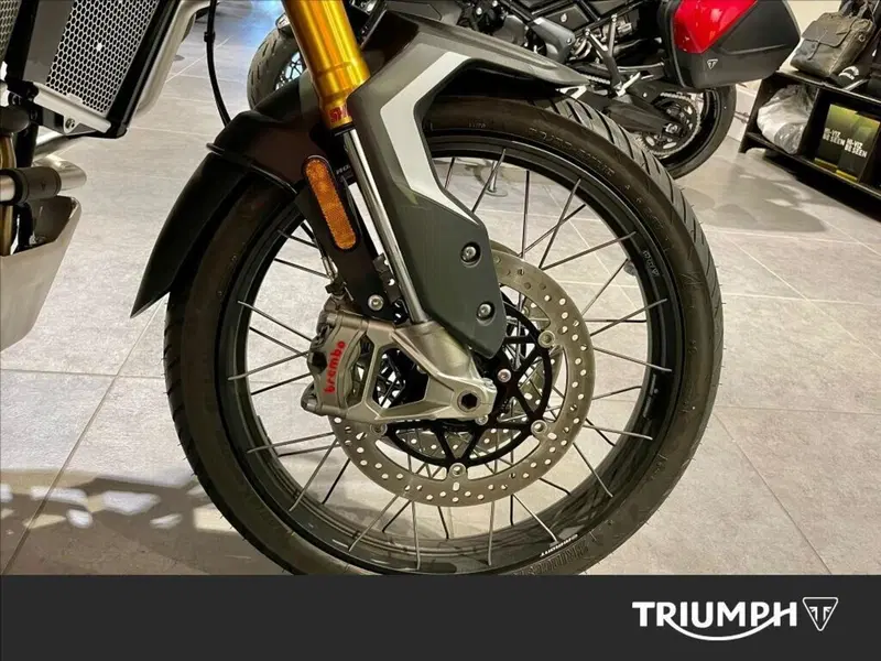 Triumph Tiger 900 Rally Pro (2020 - 23) (6)