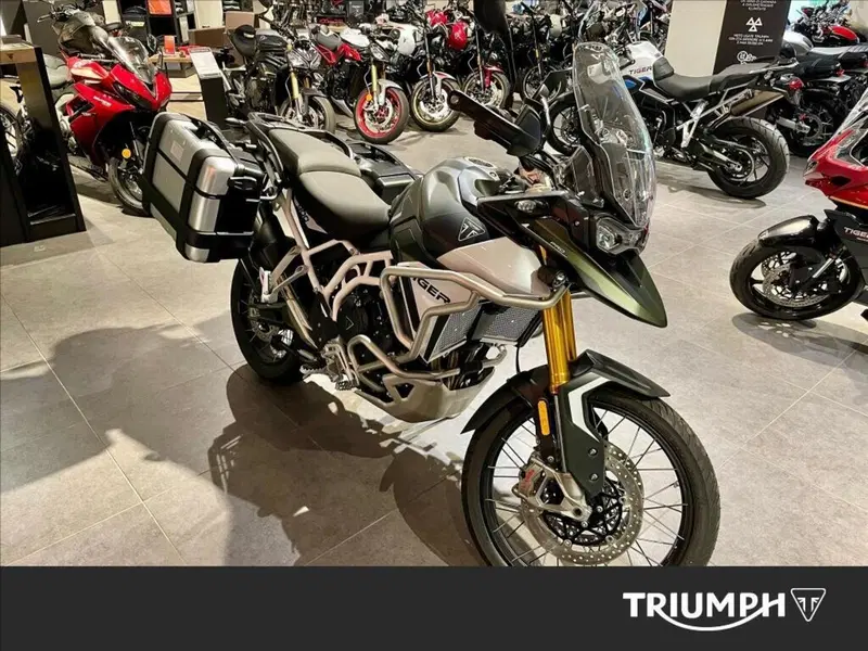 Triumph Tiger 900 Rally Pro (2020 - 23) (3)