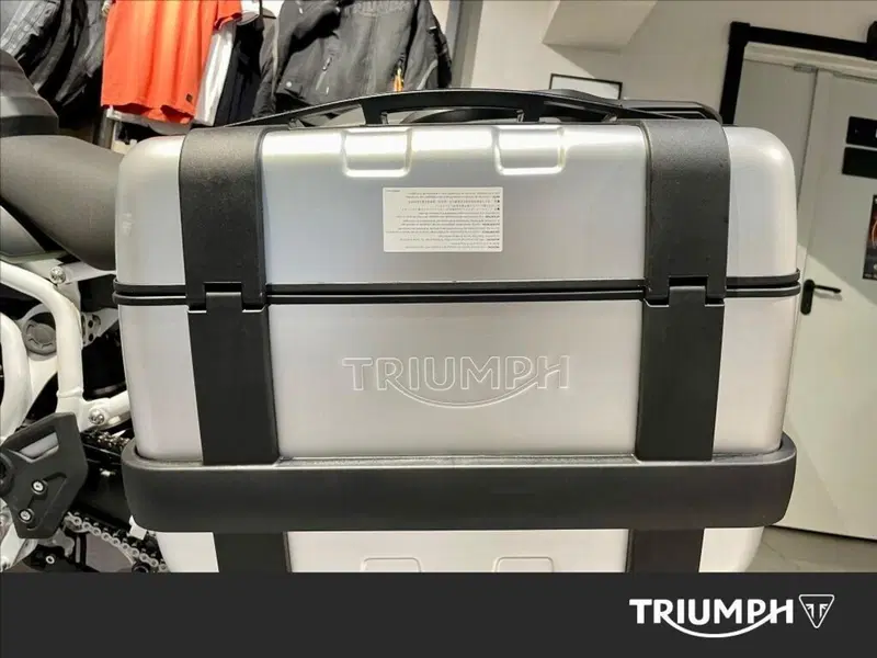 Triumph Tiger 900 Rally Pro (2020 - 23) (8)