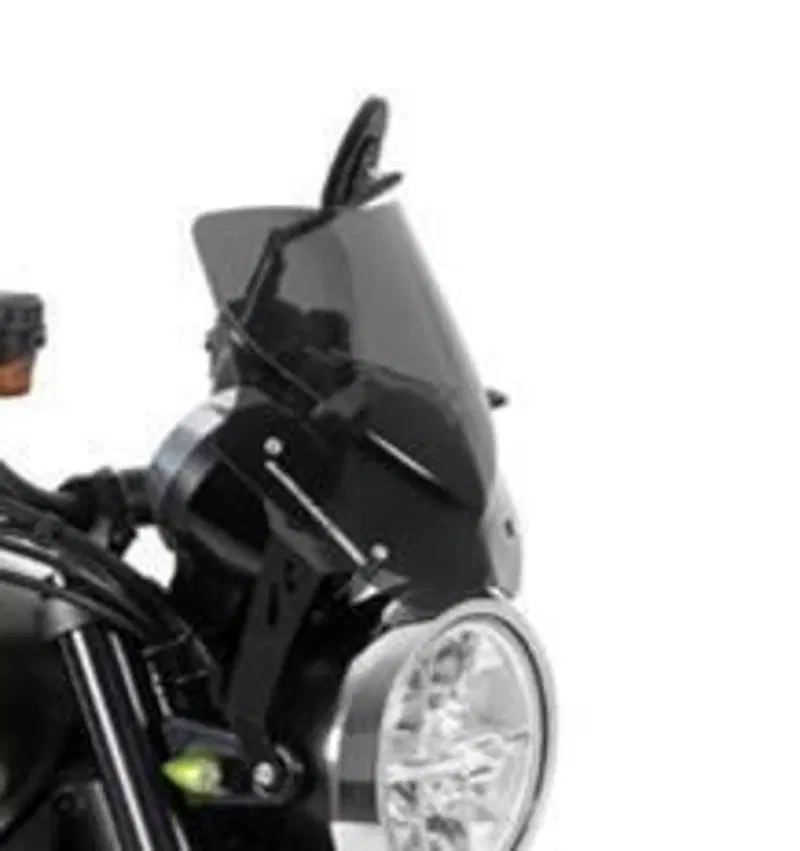 Kawasaki Z 900 RS (2021) (5)