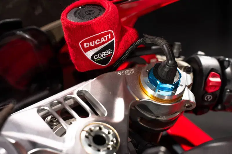 Ducati Panigale V4 S 1100 (2021) (10)