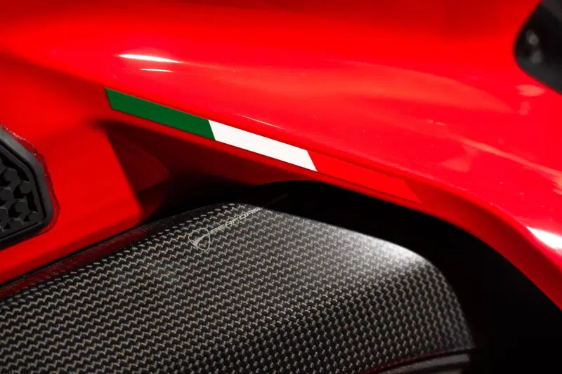 Ducati Panigale V4 S 1100 (2021) (13)