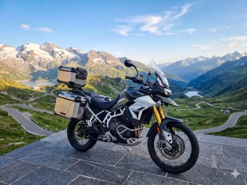 Triumph Tiger 1200 Rally Pro (2022 - 23)