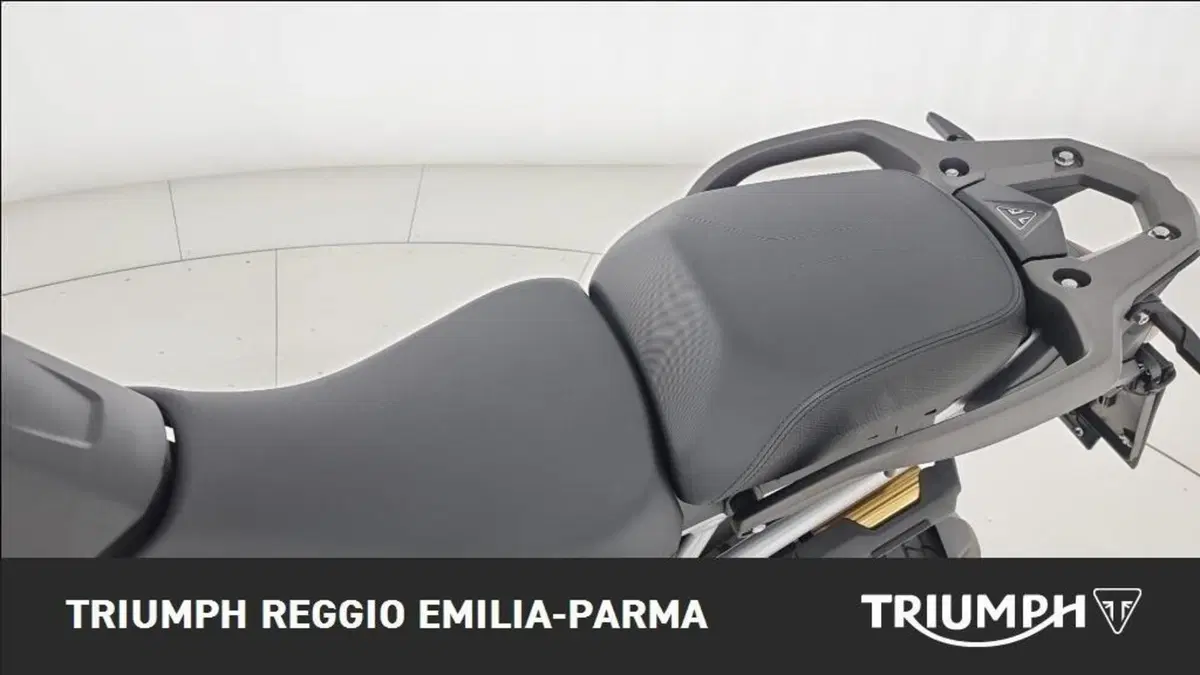 Triumph Tiger 1200 Rally Pro (2024 - 26) (13)