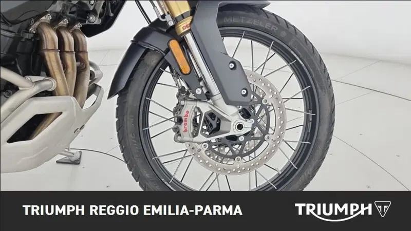 Triumph Tiger 1200 Rally Pro (2024 - 26) (19)